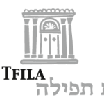 Appel à communication : « Jewish Architecture » (8-10 avril 2014, Braunschweig)