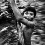 Conférence : “Hileia Amazônica” at MASP : observation on art and ecology in the 1970’s in Brazil