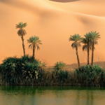 Appel à contribution : Bozzetto 06 (2014), « Oasis »