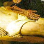 le cadavre écorché